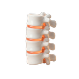 Fisio